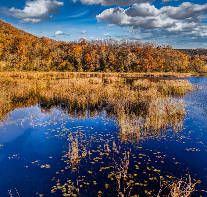 水質(zhì)多參數(shù)分析儀 水質(zhì)多參數(shù)分析儀
